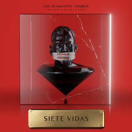 Album cover of Siete Vidas - Los Diamantes Negros