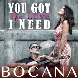 Album cover of You Got the Love I Need (Baby)