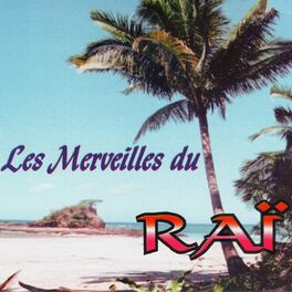 Album cover of Les merveilles du Raï