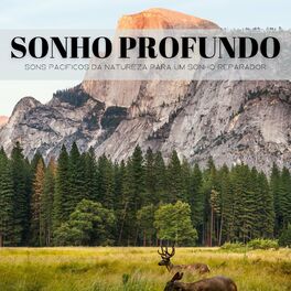 Album cover of Sonho Profundo: Sons Pacificos Da Natureza Para Um Sonho Reparador