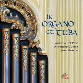Album cover of In organo et tuba