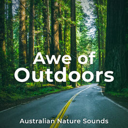 Album cover of Awe of Outdoors