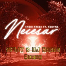 Album cover of Necesar (Split X Dj Yaang Remix)