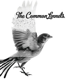 Album cover of The Common Linnets (Special Edition)