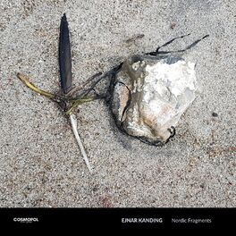 Album cover of Nordic Fragments