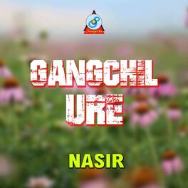 Album cover of Gangchil Ure