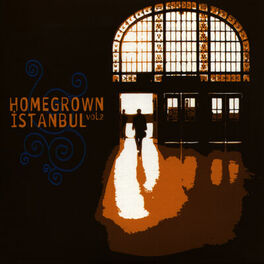 Album cover of Homegrown Istanbul, Vol. 2