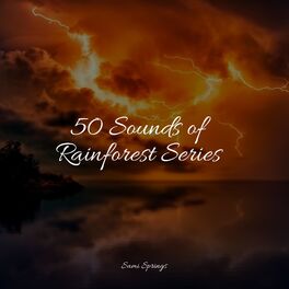 Album cover of 50 Calming Rain Sounds for Sleep and Healing
