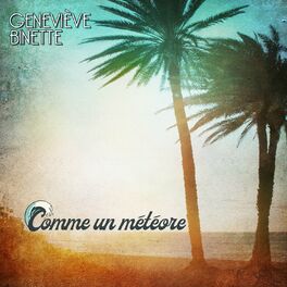 Album cover of Comme un météore