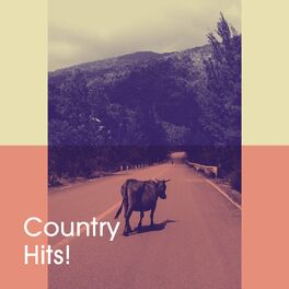 Album cover of Country Hits!