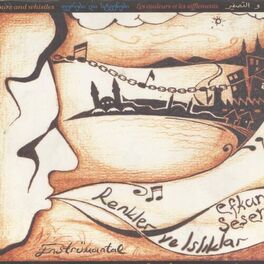 Album cover of Renkler Ve Isliklar