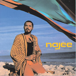 Album cover of Najee's Theme