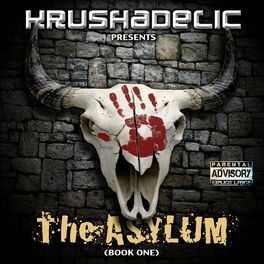 Album cover of The Asylum (Book one)