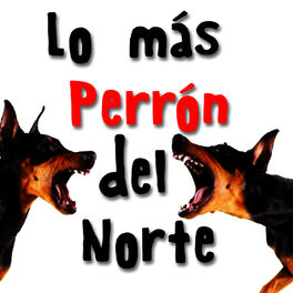 Album cover of Lo Más Perrón del Norte