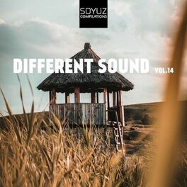 Album cover of Different Sound, Vol. 14