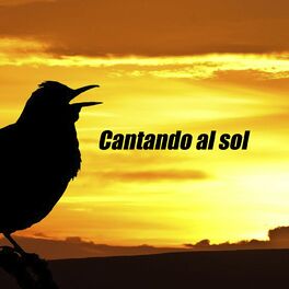 Album cover of Cantando al sol vol. I