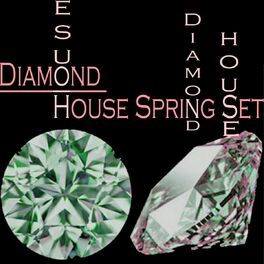 Album cover of Diamond House Spring Set