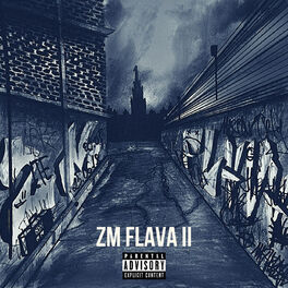Album cover of ZM FLAVA II