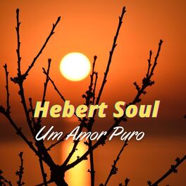 Album cover of Um Amor Puro