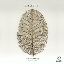 Album cover of Caelestis