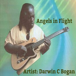 Album cover of Angels in Flight