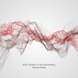 Album cover of Distant Fields