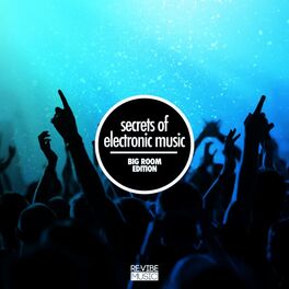 Album cover of Secrets of Electronic Music - Big Room Edition