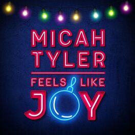 Album cover of Feels Like Joy