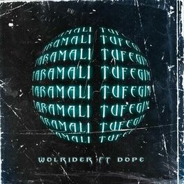 Album cover of Taramalı Tüfeğim (feat. Dope)