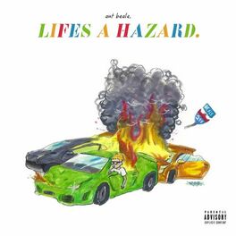 Album cover of Life's a Hazard