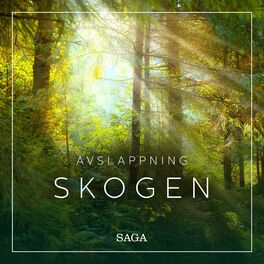 Album cover of Avslappning - Skogen