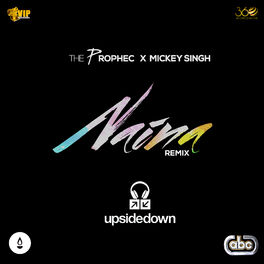 Album cover of Naina (Upsidedown Remix)