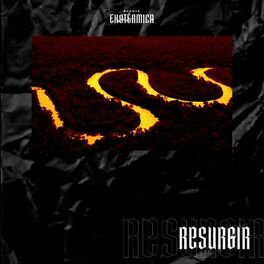 Album cover of Resurgir