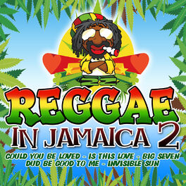 Album cover of Reggae In Jamaica 2