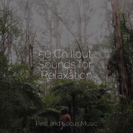 Album cover of 50 Chillout Sounds for Relaxation