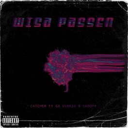 Album cover of Wisa Passen