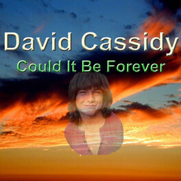 Album cover of Could It Be Forever