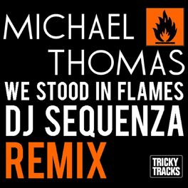 Album cover of We Stood In Flames (Dj Sequenza Remix)