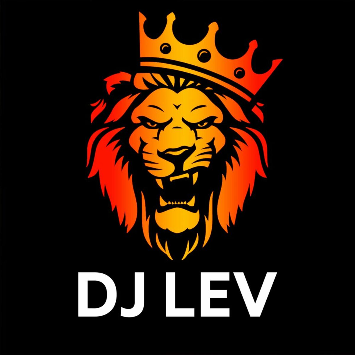 DJ Lev: albums, songs, playlists | Listen on Deezer