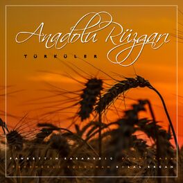 Album cover of Anadolu Rüzgarı (Türküler)
