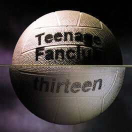 Album cover of Thirteen