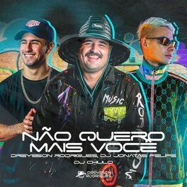 Album cover of Não Quero Mais Você