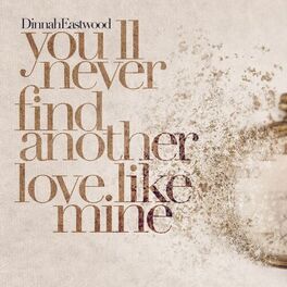 Album cover of You'll Never Find Another Love Like Mine