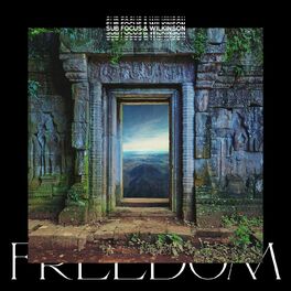 Album cover of Freedom (Sub Focus x Wilkinson x High Contrast Remix)