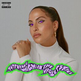 Album cover of TEMPORARY HIGHS IN THE VIOLET SKIES