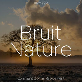 Album cover of Bruit Nature: Comment Dormir Rapidement