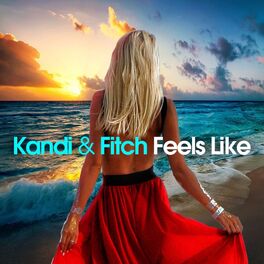 Album cover of Feels Like