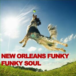 Album cover of New Orleans Funky Funky Soul