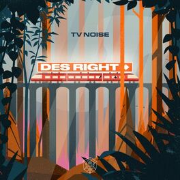 Album cover of Des Right