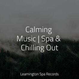Album cover of Calming Music | Spa & Chilling Out